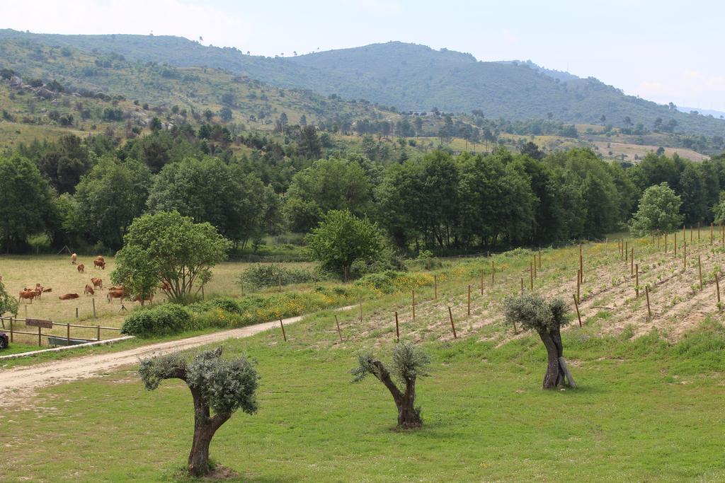 Quinta Vale Da Prata Villa Celorico Da Beira Exteriör bild