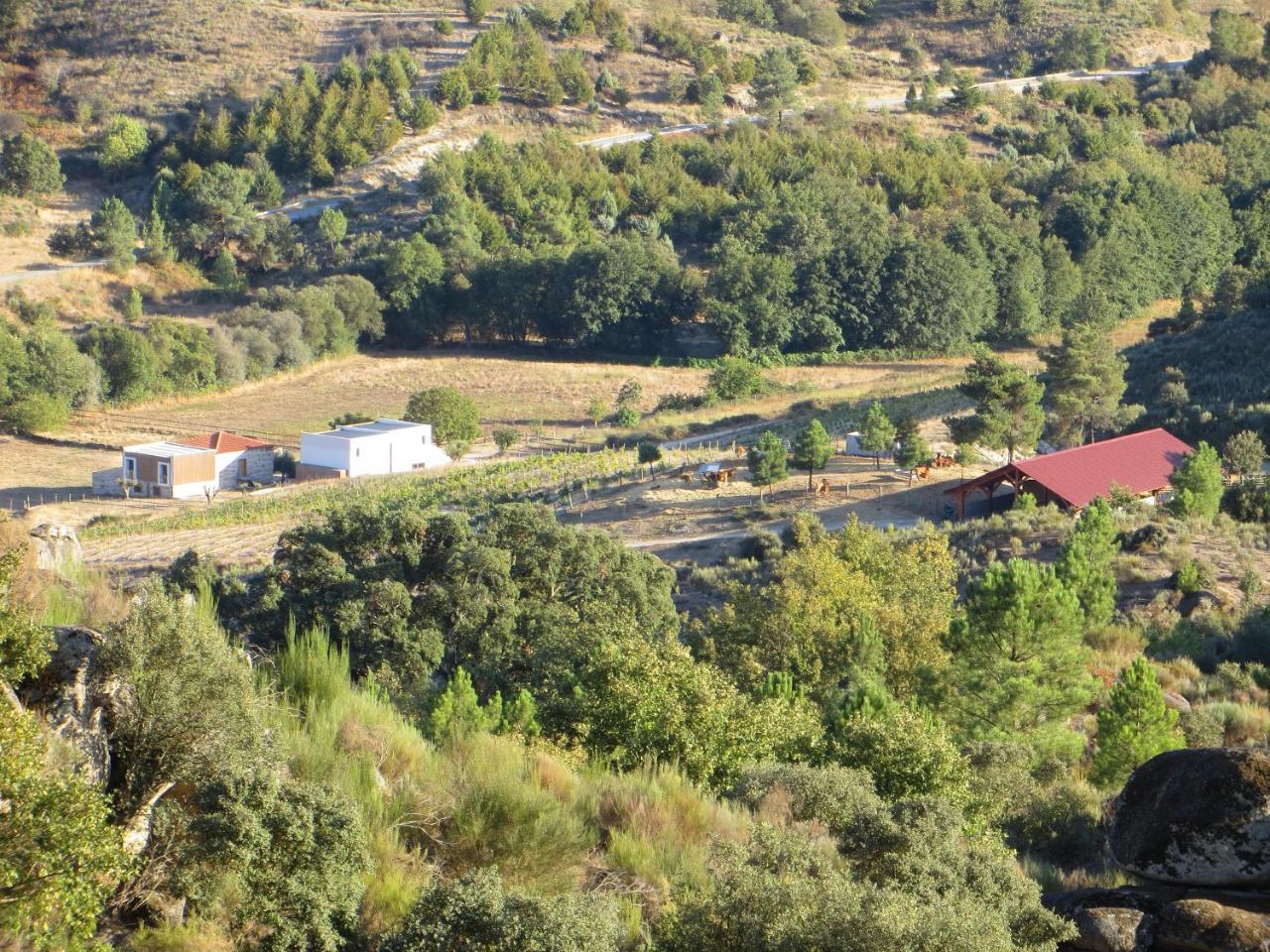 Quinta Vale Da Prata Villa Celorico Da Beira Exteriör bild
